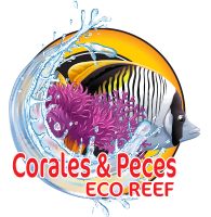 Corales y Peces